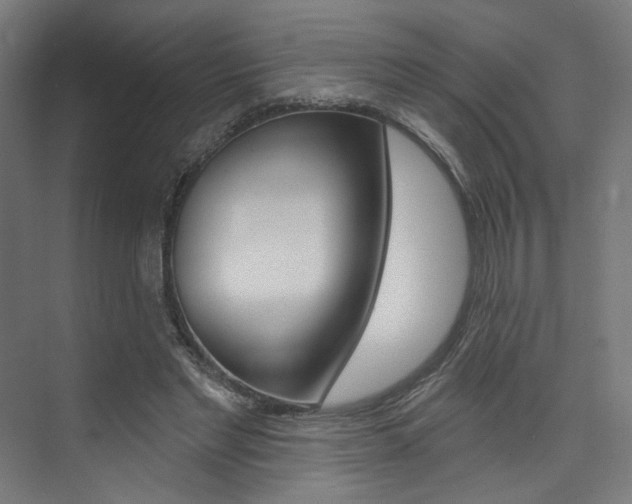 X0000074040493200608211206