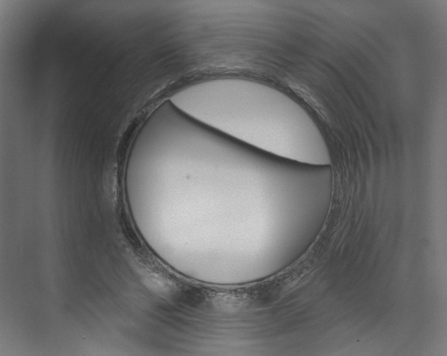 X0000074040494200608211206