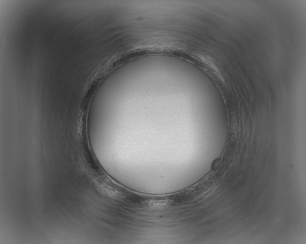 X0000074040495200608211206