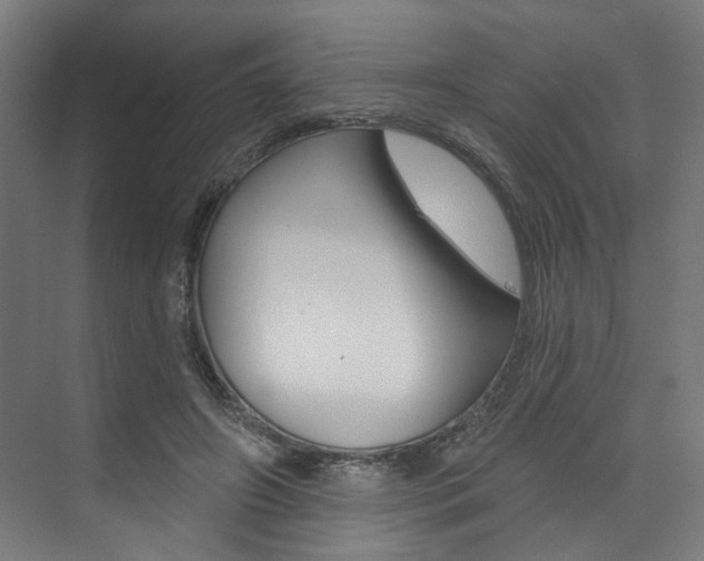 X0000074040498200608211206