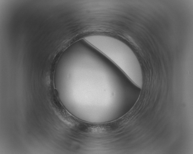 X0000074040500200608211206