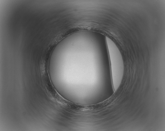 X0000074040504200608211206
