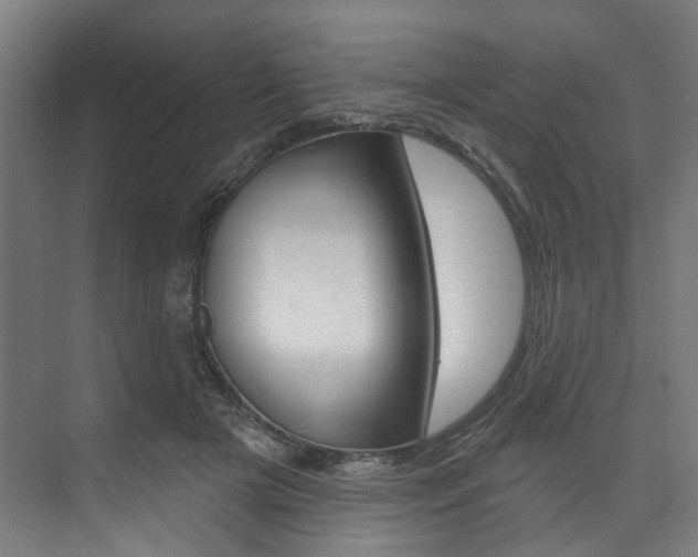 X0000074040505200608211206