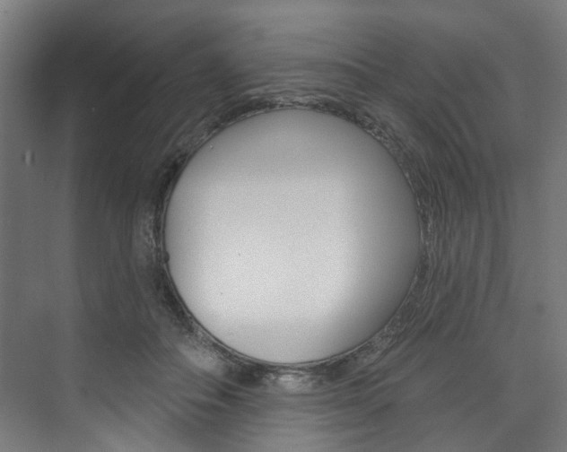 X0000074040506200608211206