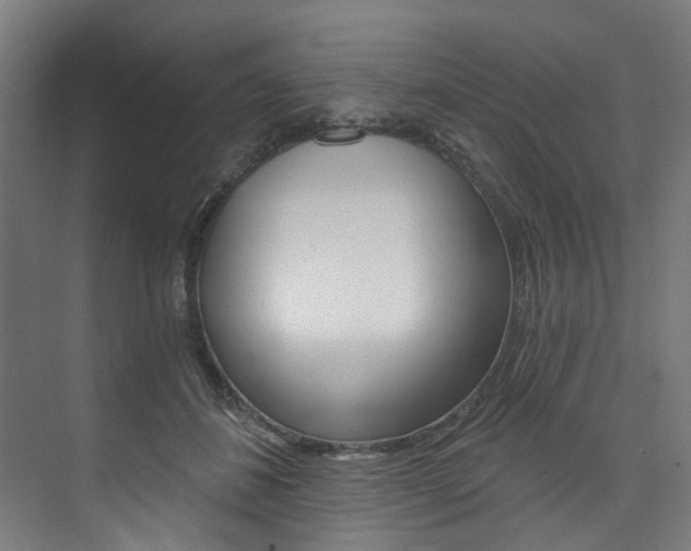 X0000074040508200608211206