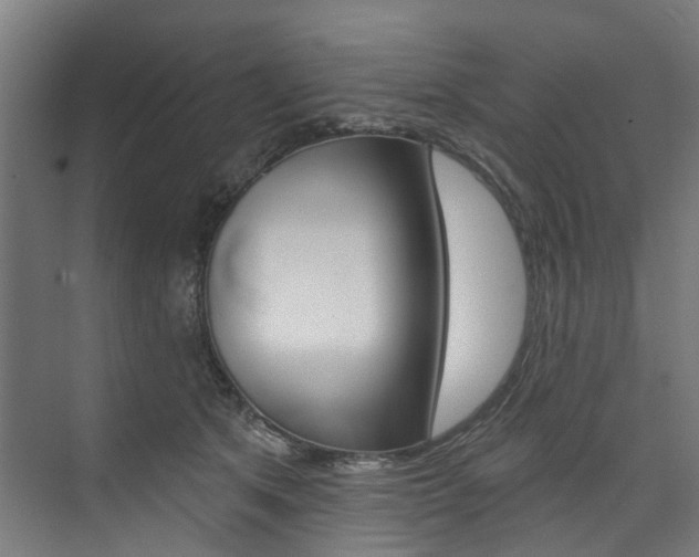 X0000074040513200608211205