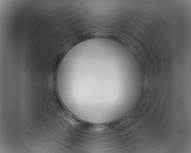X0000074040514200608211205