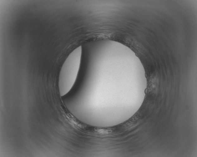 X0000074040522200608211205