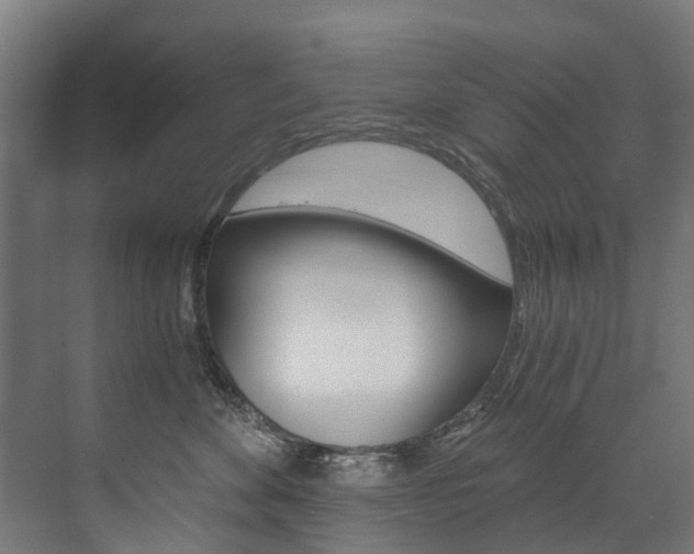 X0000074040524200608211205
