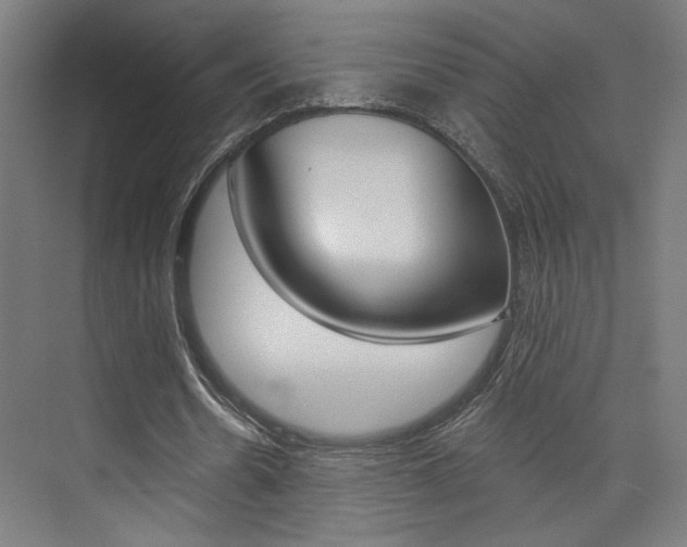 X0000074040530200608211204