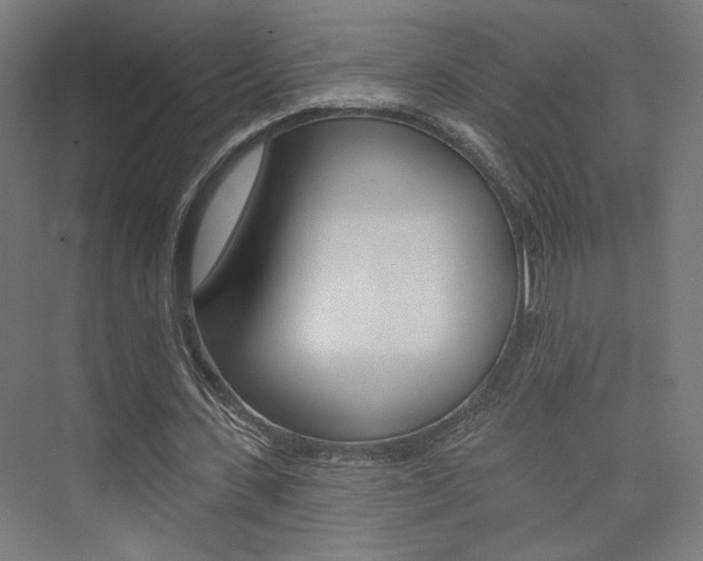 X0000074040531200608211204