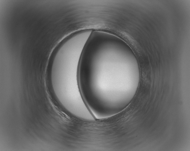 X0000074040532200608211204