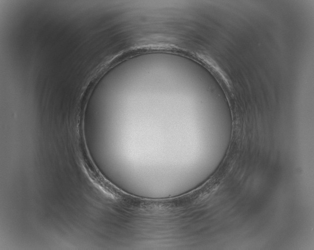 X0000074040533200608211204