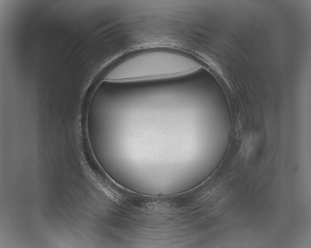 X0000074040535200608211204
