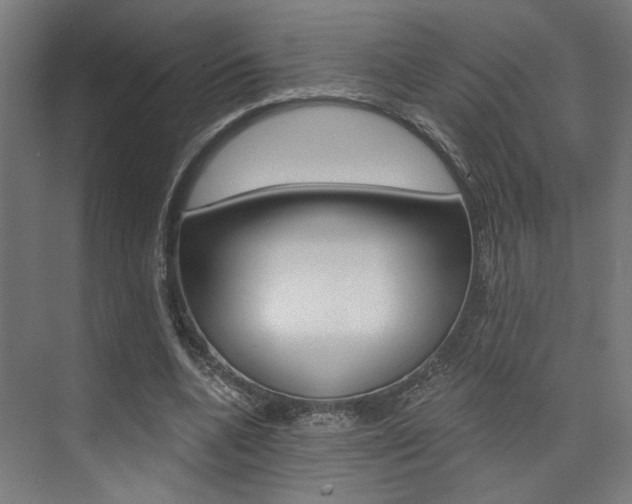 X0000074040536200608211205