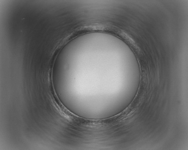 X0000074040537200608211205