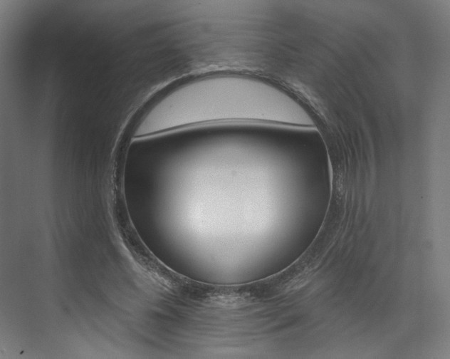 X0000074040540200608211205
