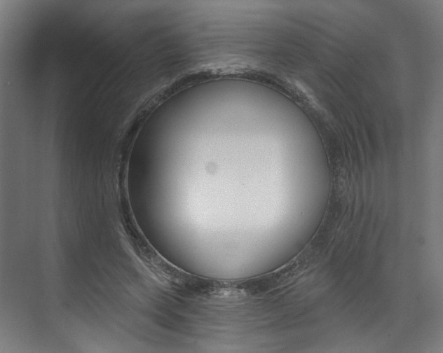 X0000074040543200608211205
