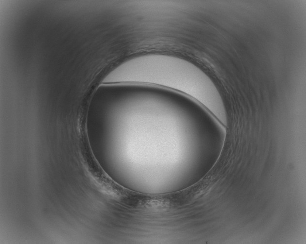 X0000074040546200608211205
