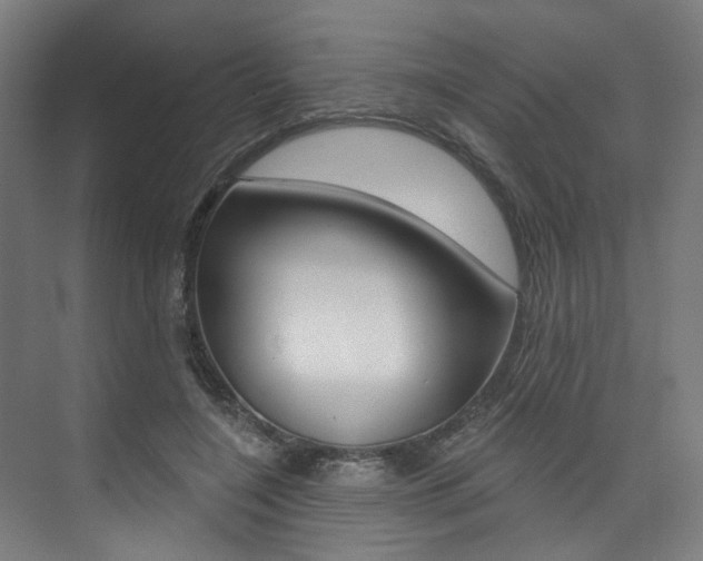 X0000074040548200608211205