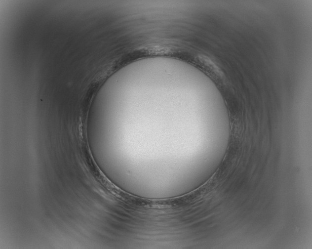 X0000074040549200608211205