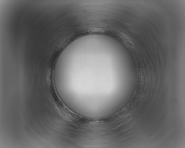 X0000074040550200608211205