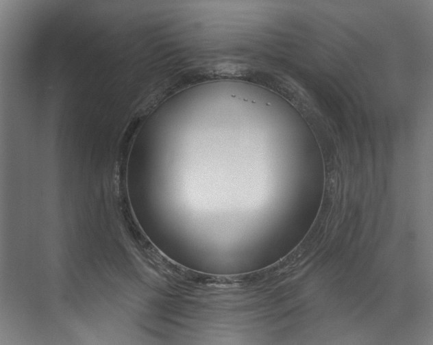 X0000074040552200608211205
