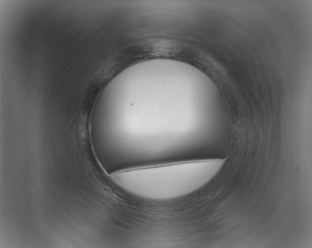 X0000074040554200608211205