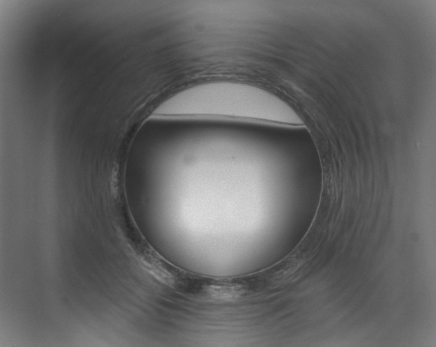 X0000074040556200608211205
