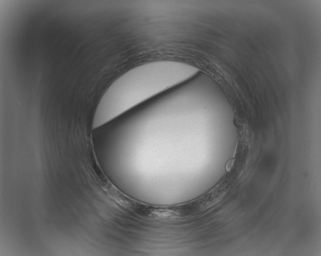 X0000074040557200608211205
