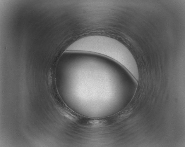 X0000074040558200608211205