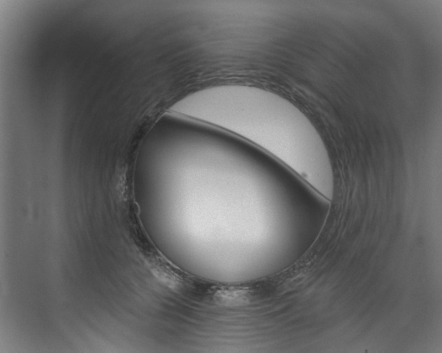 X0000074040560200608211205