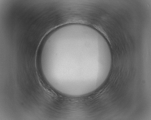 X0000074040579200608211204
