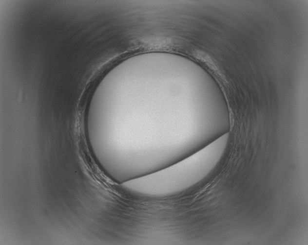 X0000074040583200608211204
