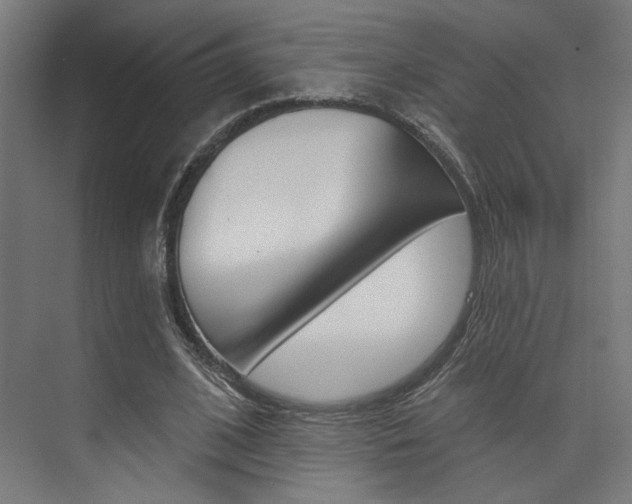 X0000074040584200608211204
