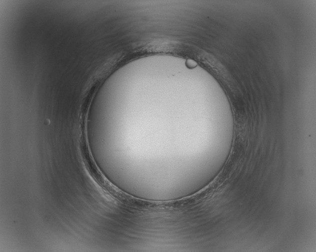 X0000074040586200608211204