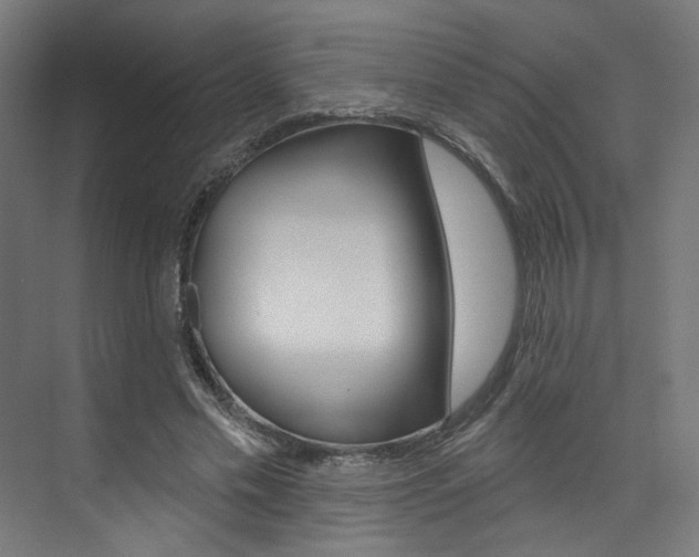 X0000074040589200608211204