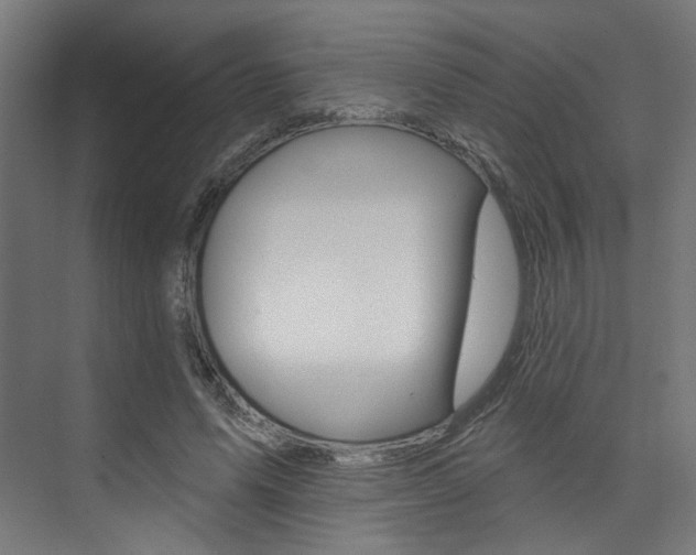 X0000074040591200608211204