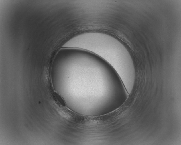 X0000074040593200608211204