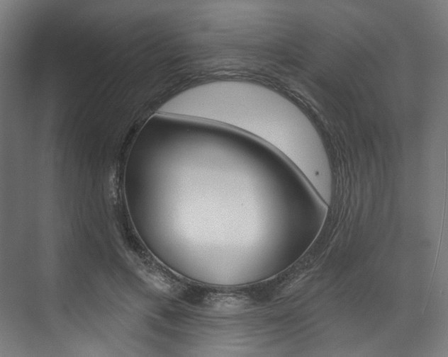 X0000074040597200608211204