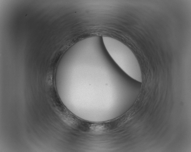 X0000074040602200608211204