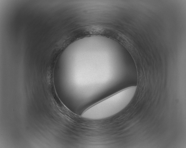 X0000074040604200608211204