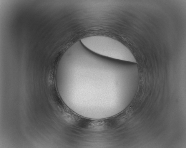 X0000074040606200608211204