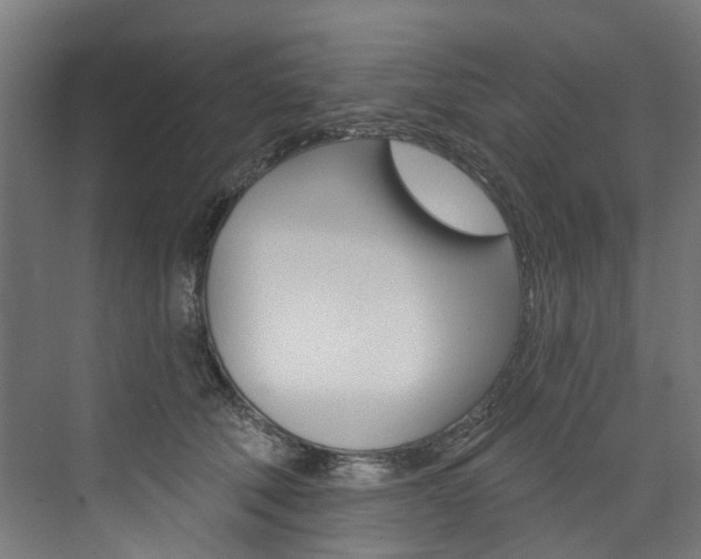 X0000074040610200608211204