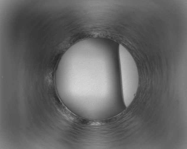 X0000074040611200608211204