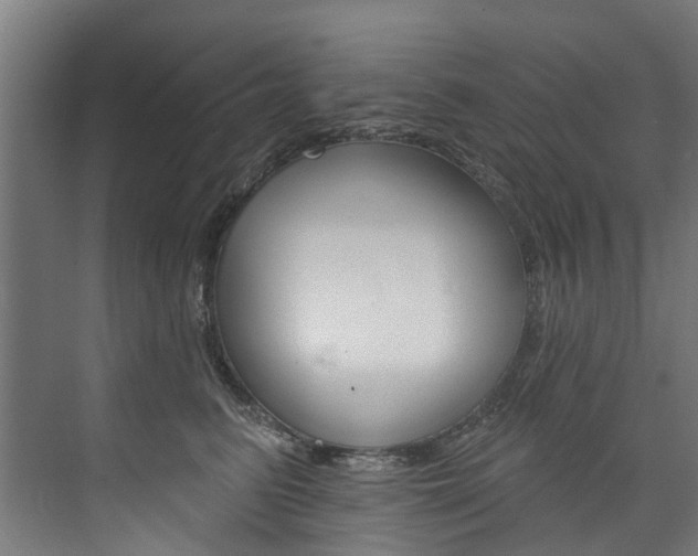 X0000074040615200608211204