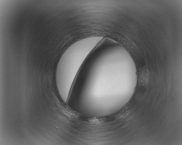 X0000074040616200608211204
