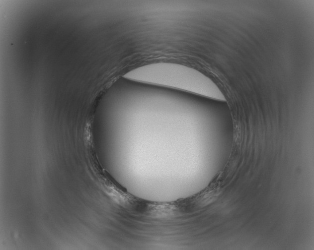 X0000074040621200608211204