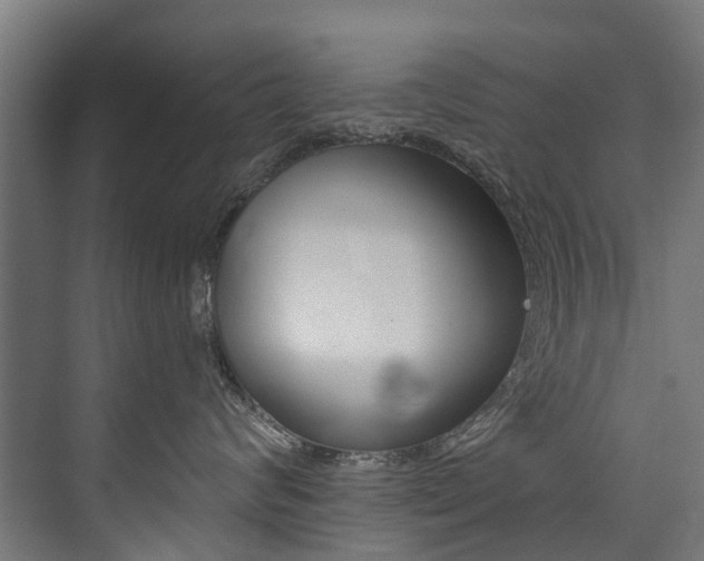 X0000074040624200608211204