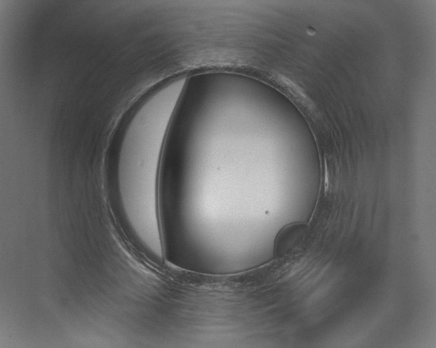 X0000074040627200608211203